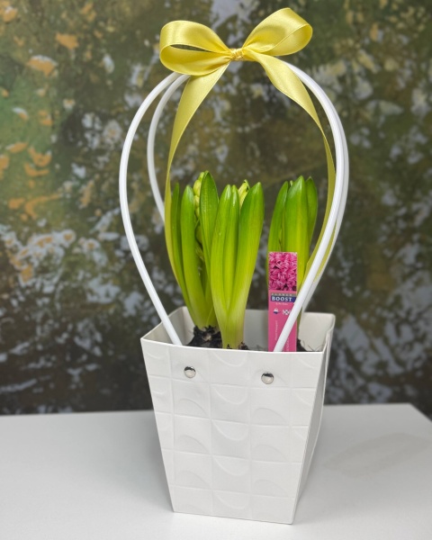 0e39b129-d5ba-44fe-8cdc-de1d13164b93