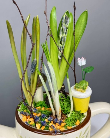 Композиция Лейка с гиацинтом, мускари, крокусом (3)