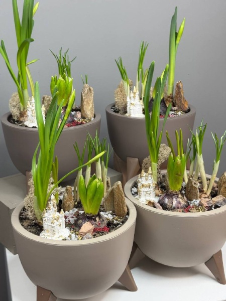 51dd44f9-60a0-48be-a050-d84288ad71f4