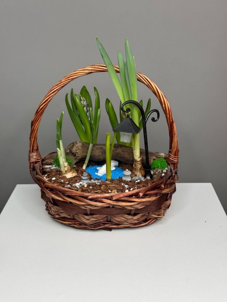 Композиция с первоцветами Японский садик с гиацинтами и нарцисами (1)