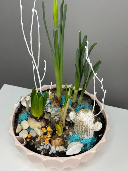 Композиция с первоцветами Оазис в пустыни с гиацинтами, нарциссами и крокусом (5)