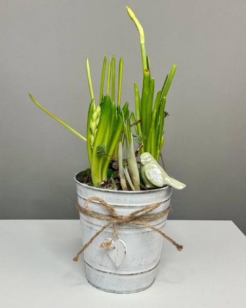 Композиция в белом ведерке с первоцветами, мхом, птичкой (3)