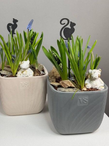 Композиция с первоцветами Флюгель с гиацинтом, мускариками и нарцисами (3)