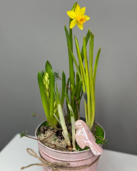Композиция в ведерке с первоцветами, мхом, птичкой (2)