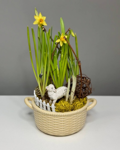 Композиция Милая овечка с мускари, нарциссами, крокусами (1)