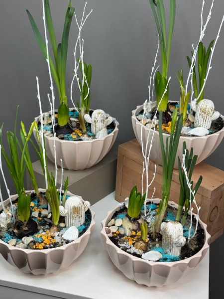 Композиция с первоцветами Оазис в пустыни с гиацинтами, нарциссами и крокусом (3)