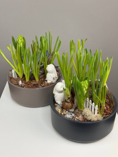 Композиция с первоцветами Спринг Реббит с гиацинтом и мускариками (1)