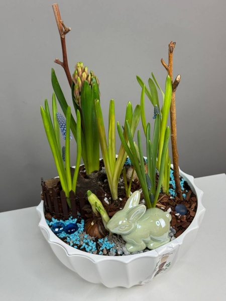 Композиция с первоцветами Форест с гиацинтом и мускариками (5)