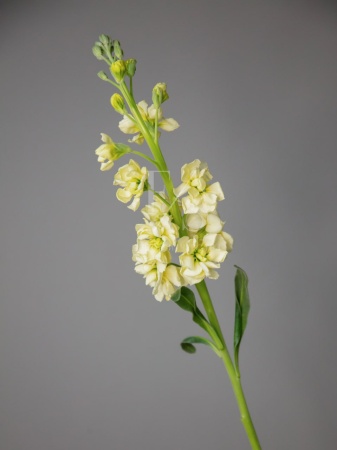 b37d397b-da7e-4bed-aa53-80430526adbe