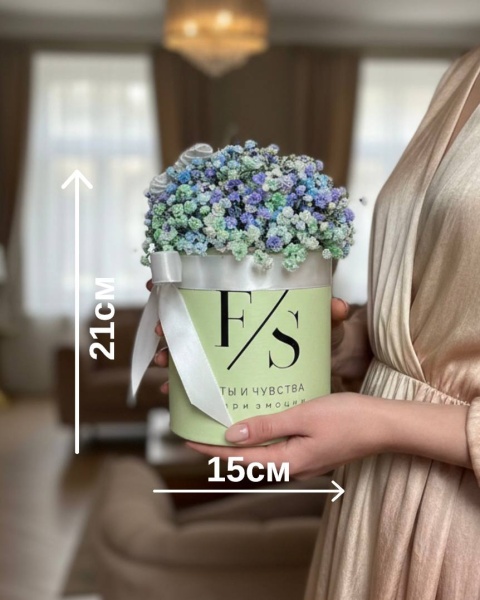 Композиция Милая гипсофила в коробке малая (5)