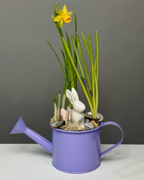 Композиция в сиреневой лейке с луковичными с зайкой  (1)