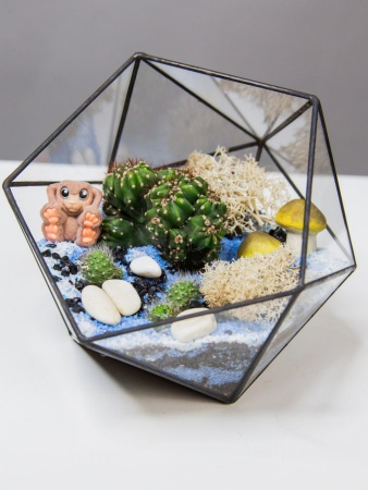 Композиция Флорариум Космический сад