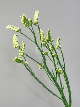 96411119-6025-46a2-ab2f-c8762b38052f